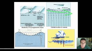 Ocean Waves Part 1 Wave Structure amp Formation [upl. by Ayeki]