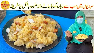 Everyones Favorite Halwa Recipe  Winter Special Halwa Recipe  Easy Recipe  Village Handi Roti [upl. by Zelde]