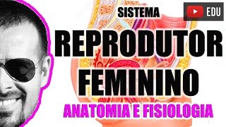 Sistema Reprodutor Feminino  Aparelho Reprodutor  Anatomia Humana  VideoAula 048 [upl. by Bette]