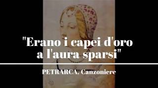 LEZIONI DI LETTERATURA  PETRARCA Canzoniere quotErano i capei doro a laura sparsiquot [upl. by Narih]