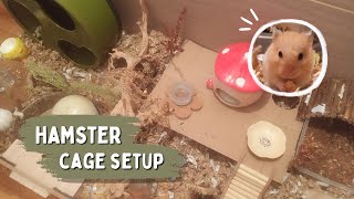 Setting up my Hamsters cage 🍄🍂  Hamster cage setup [upl. by Enala343]