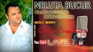 NELUTA BUCUR  Mia albit parul la tample  Barbatul carei frumos live audio [upl. by Id]