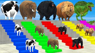 Cow Elephant Lion Gorilla Tiger TRex Choose the RIGHT Animal ESCAPE ROOM CHALLENGE MYSTERY BOX [upl. by Noramac]