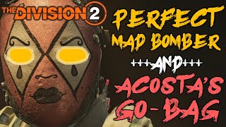 PERFECT MAD BOMBER The Division 2 Grenade Build 20 [upl. by Tamra537]