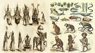 Hinduism  10 Avatars of Vishnu and Darwins Theory of Evolution  Parallels [upl. by Nedroj386]