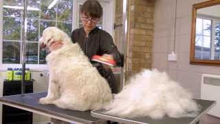 FURminator deShedding Tools for Dogs [upl. by Lynnea]