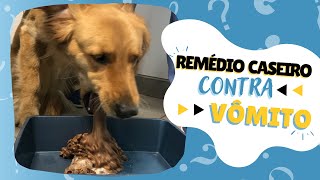 APRENDA COMO ACABAR COM O VÔMITO DO SEU CACHORRO OU GATO REMÉDIO CASEIRO CONTRA O VÔMITO [upl. by Dolloff]