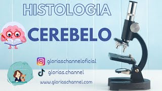 Histología para Medicina Cerebelo [upl. by Quillon837]