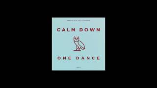 Calm Down X One Dance Jr Stit Mashup [upl. by Ahsile]