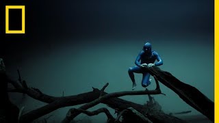 Experience the Underwater World Through the Eyes of a Free Diver  Short Film Showcase [upl. by Ettenav]