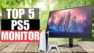 TOP 5 Best PS5 Monitor 2024 [upl. by Annamarie]