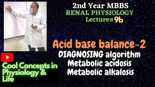 9b Acid base balance2 DIAGNOSING algorithm  Metabolic acidosis amp alkalosis 2ndYR MBBS [upl. by Ahoufe164]