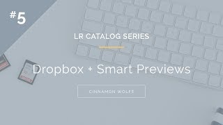 5 Lightroom Catalog Series  Dropbox amp Smart Previews [upl. by Hsara676]