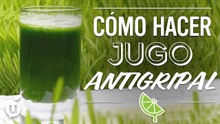 Jugo Antigripal  Antiflu Juice  Kiwilimón [upl. by Chappell]