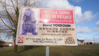 Pension canine près de Paris HOUDOUIN DAVID [upl. by Northrop]