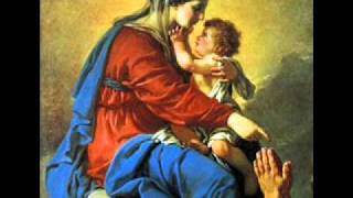 Salve Mater Misericordiae  Catholic Song of Praise to Mary [upl. by Jillian]