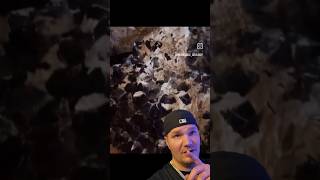 Massive Amethyst Crystals Cluster Found in Mine Shaft or Cave amethyst shorts balltmaxreacts [upl. by Kristos320]