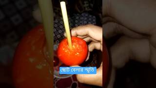 কাদের শৈশবের সাথে মিলে গেল কমেন্ট করো childhood শৈশবেরহারিয়েযাওয়াস্মৃতি food youtubeshorts [upl. by Attem607]