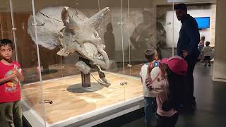 Royal Tyrell Museum Drumheller Alberta [upl. by Nitsud]