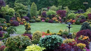 Best ideas  Top 80 Garden Small Backyard Landscaping  Beautiful Gardens Ideas [upl. by Neelac866]