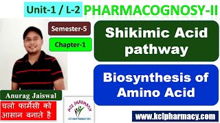 Shickmic Acid Pathway  Biosynthesis of Aromatic Amino Acids  L2 Unit1  Sem5  PharmacognosyII [upl. by Laehcor]