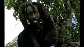 Ras Bushman  Rumanan Official video [upl. by Yunick]