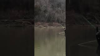 Muddy water mayhem catfishing taylorsville lake ky [upl. by Latif]