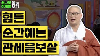 힘든 순간에는 관세음보살 광우스님 소나무 주제별 몰아보기 [upl. by Yelram251]