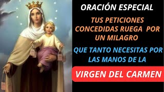 🙏✨Ruega por un Milagro que tanto Necesitas por las Manos de la Virgen del Carmen  Oración Especial [upl. by Lail189]