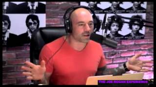 quotGold Diggers amp Wounded Gazellesquot with Greg Fitzsimmons from Joe Rogan Experience 466 [upl. by Luebke]