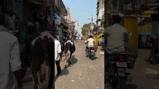 Koderma station view temperature 45 degree 🌤️🕉️🙏 shekhararmy08 shorts [upl. by Lorin]