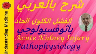 AKIAcute Kidney Injury  PATHOPHYSIOLOGY شرح بالعربي  الفشل الكلوي الحاد باثوفسيولوجي [upl. by Ecnarepmet]