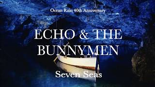 Echo amp The Bunnymen Seven Seas Official Video [upl. by Bunnie874]