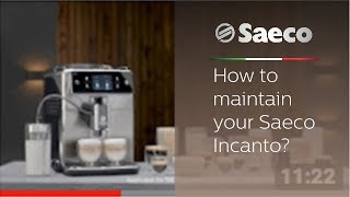 How to maintain your Saeco Incanto [upl. by Alleras]