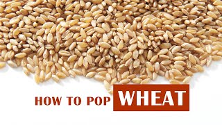 How to Pop Wheat [upl. by Winifred]