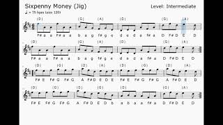 Sixpenny Money Jig [upl. by Ybrik969]