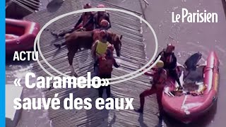 « Caramelo» le cheval bloqué sur un toit au Brésil à cause des inondations a été sauvé [upl. by Beora319]