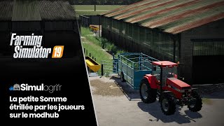 La petite Somme étrillée par les joueurs Farming Simulator 19 [upl. by Kingdon713]