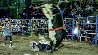 SE DIO UNA MAROMETA EL TORO SI NO LO VEN NO LO CREERAN  Rancho San Miguel En Tzintzuntzan Mich [upl. by Donata]