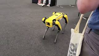 Boston Dynamics Dog Spot [upl. by Curr]