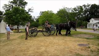 Percheron Horses Pulling the Union Cannon  Greenfield Village [upl. by Aikyn]