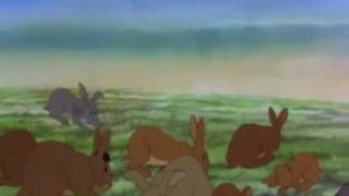 TRAILER Watership Down  The Hardcore Kid [upl. by Esaertal712]