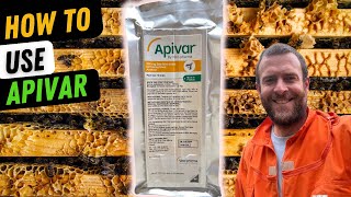 How to use Apivar To Treat Your Bees For Varroa Mites Beefarmers Favourite Treatment [upl. by Caputto]