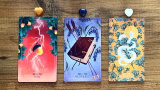 YOUR INTUITION LEAD YOU TO THIS READING ⚡️📖🍃  Pick a Card Tarot Reading [upl. by Nel132]