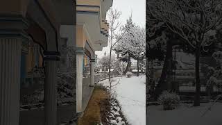 kabul snow beautiful nature snow afghanistan [upl. by Backer]