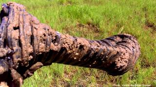 Des conseils pour diagnostiquer votre système de drainage au printemps [upl. by Farlee]