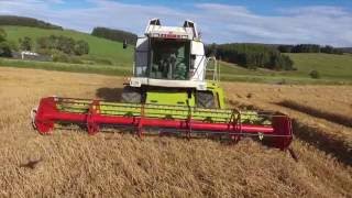 Alford Aberdeenshire Harvest 2016 [upl. by Enyahc539]