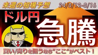 【ドル円最新予想】ドル円の上昇、ここで止まります。注目レートと攻め方を簡単解説！来週の為替相場予想と投資戦略！CPI・小売売上高・日経平均・暴落・急騰・株価に注目24812週【FX】※ [upl. by Tam]