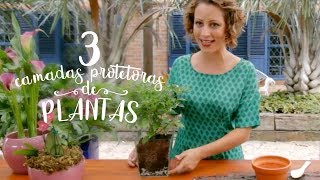 As 3 camadas que protegem as plantas em vaso [upl. by Bywaters]