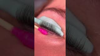 Upgrade Your Look DIY Lash Lift and Tint for Instant Glam🧡 lashtint lashliftandtint lashlift [upl. by Lukasz]